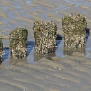 FG Mannheim 23 Bartmann Horst